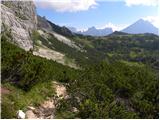 Passo Staulanza - Monte Pena